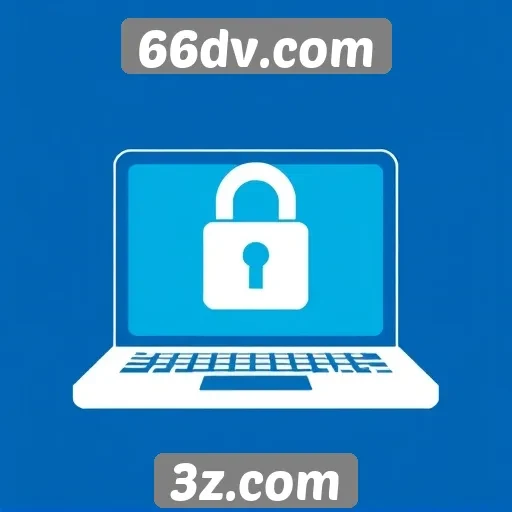 Estudo sobre a segurança e privacidade no 66dv.com